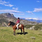 Rando équestres