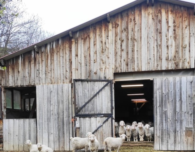 La bergerie Bergerie