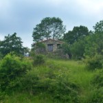 Face Est Vue de dessous des pampilles